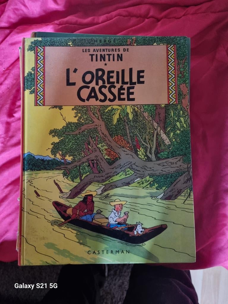 Livre tintin, Livres, Enlèvement ou Envoi