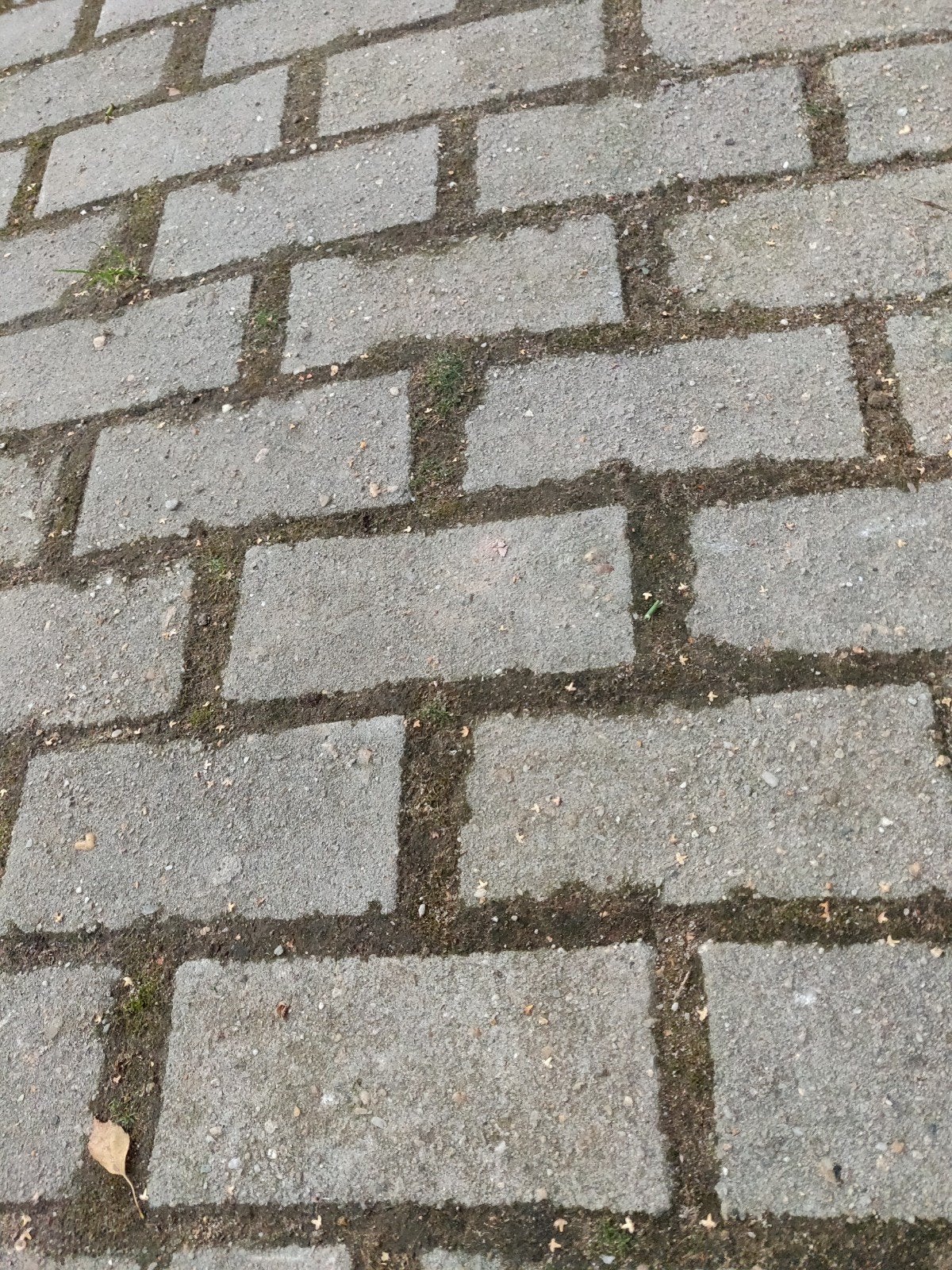 Betonklinkers +/- 70m^2 GRATIS, Tuin en Terras, Ophalen, Gebruikt, Klinkers, 10 m² of meer