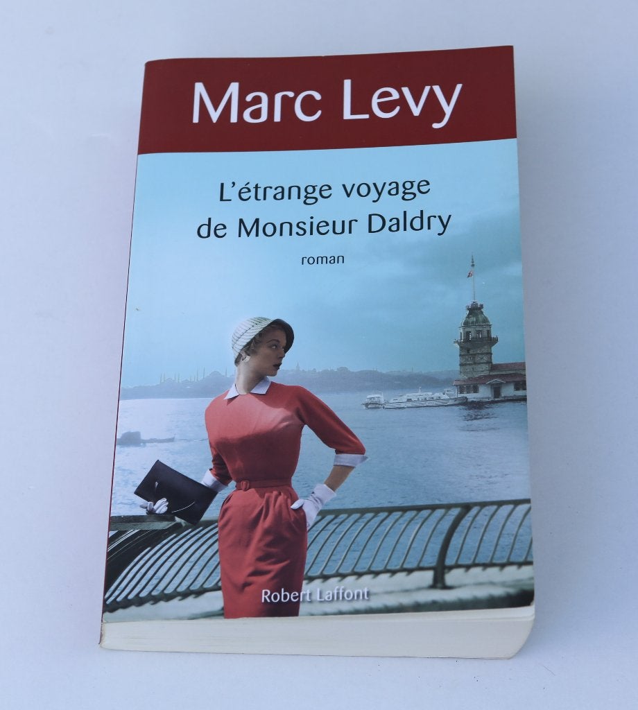Roman Marc Levy : L'étranger voyage de M. Daldry, Boeken, Ophalen of Verzenden, Zo goed als nieuw, Marc Levy
