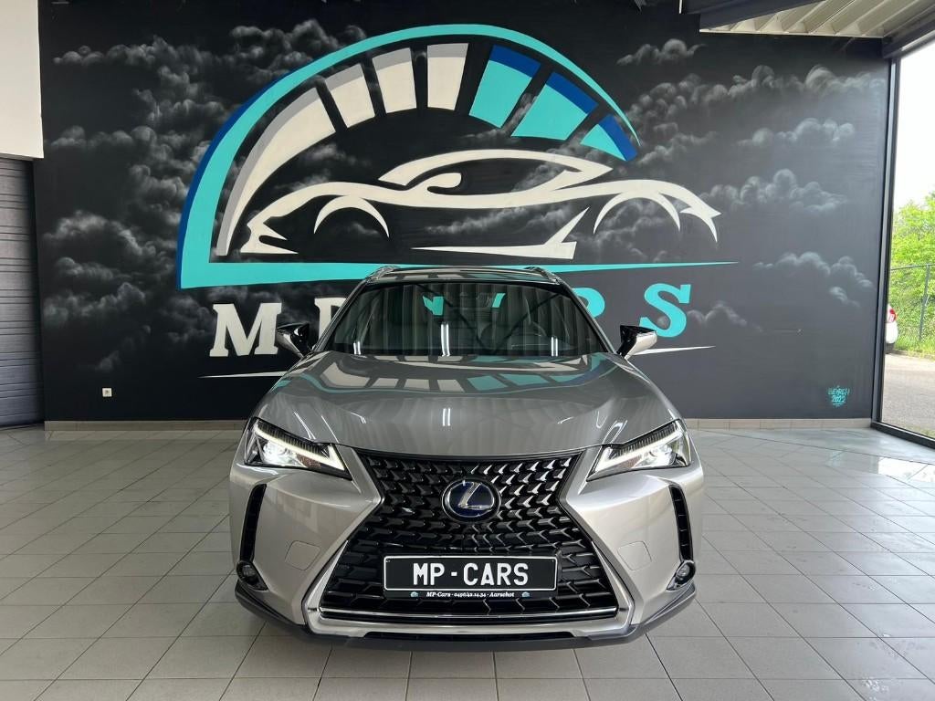 Lexus UX250 / Hybride, Autos, Lexus, Argent ou Gris, Achat, Euro 6, Entreprise