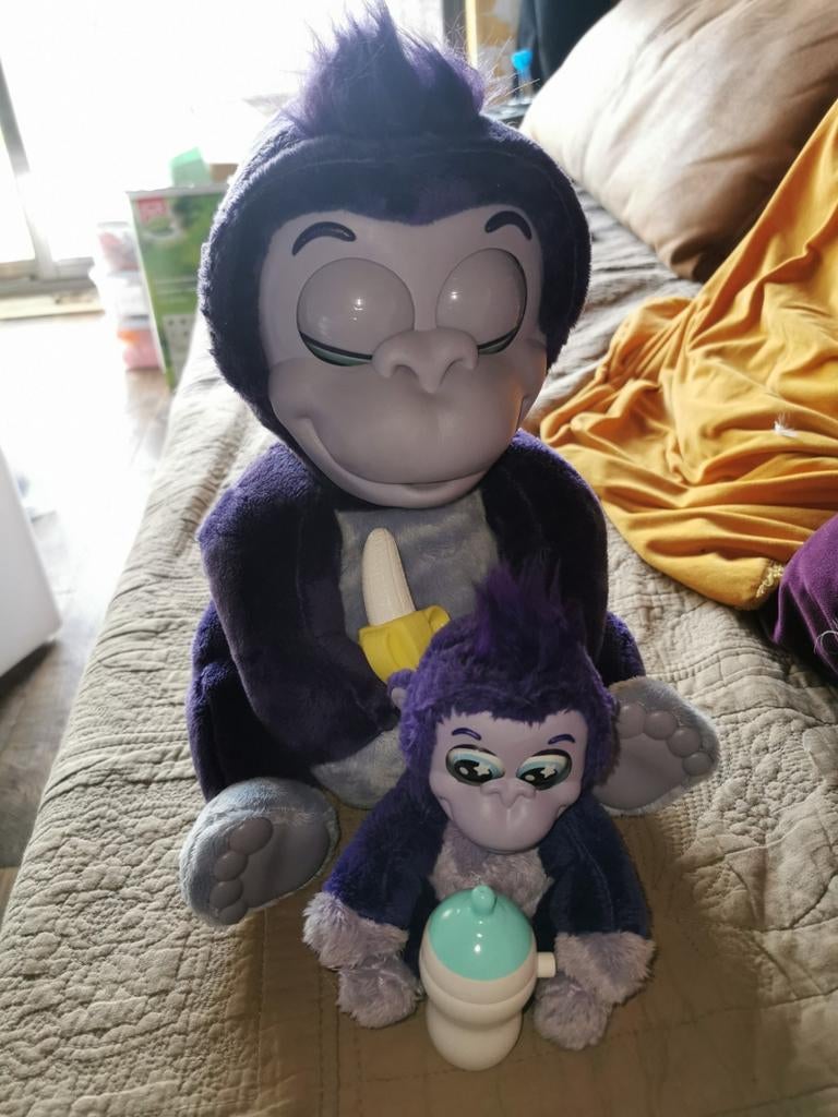 Gorille et bébé Goliath, Enlèvement ou Envoi