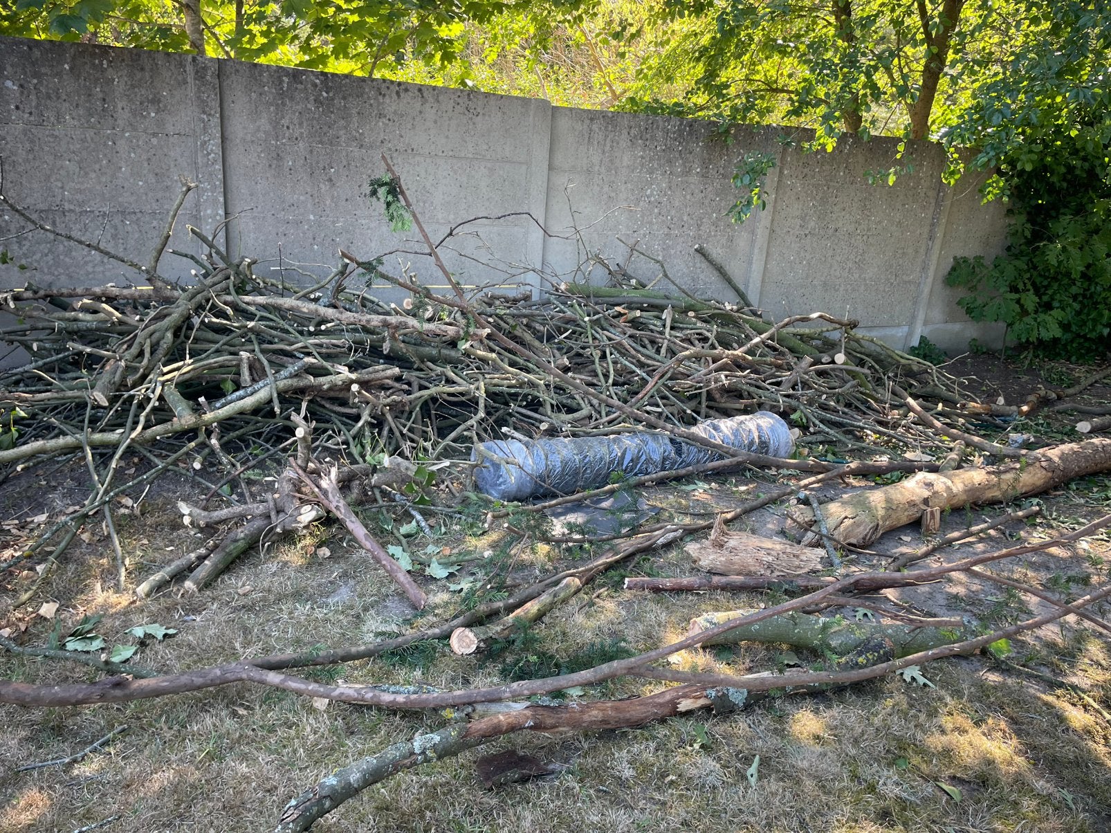 Gratis hout op te halen, Tuin en Terras, Brandhout, Ophalen, Stammen