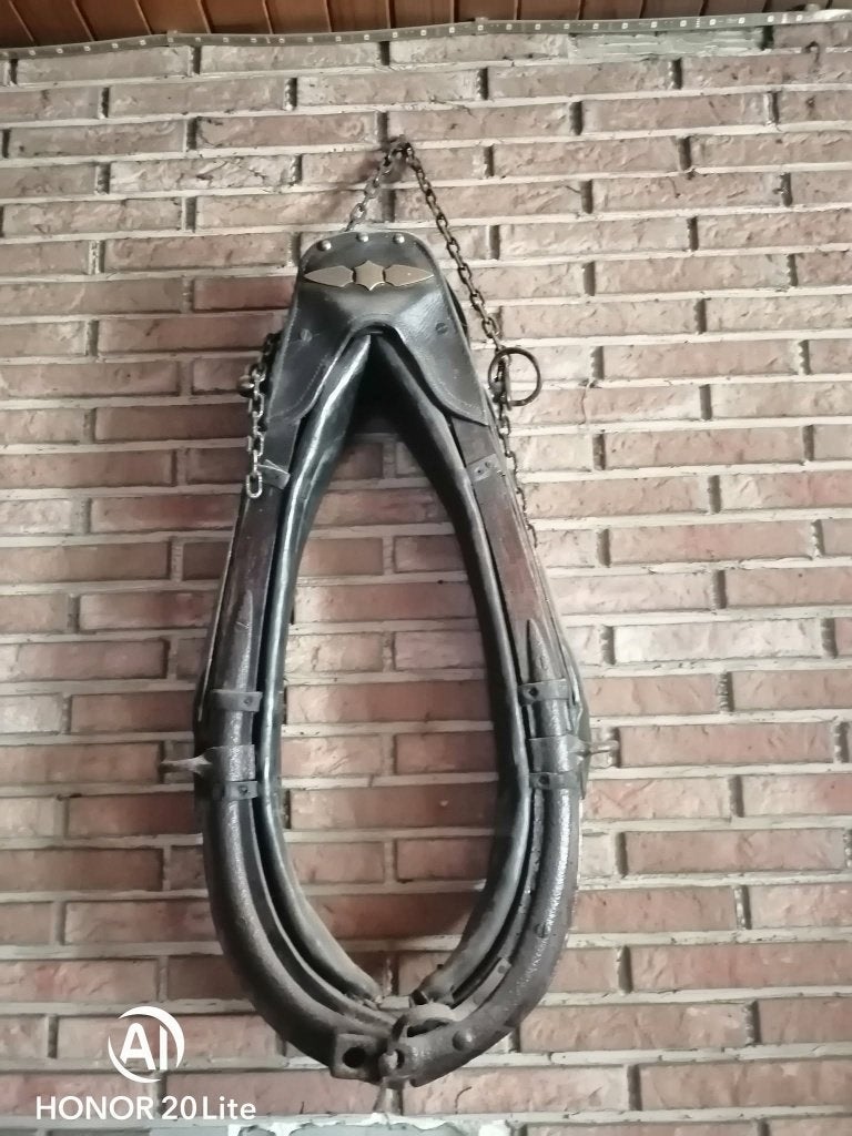 animaux, Animaux & Accessoires, Chevaux & Poneys | Brides & Harnachement, Enlèvement, Comme neuf, Marron, Licou