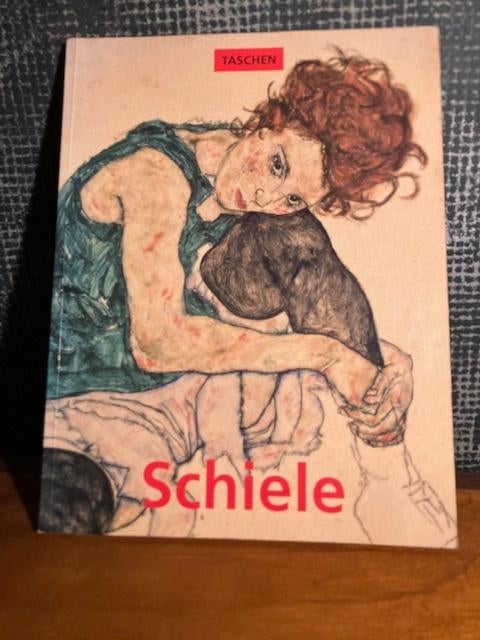 BOEK EGON SCHIELE TASCHEN REINHARD STEINER, Boeken, Kunst en Cultuur | Beeldend, Zo goed als nieuw, Schilder- en Tekenkunst, Ophalen of Verzenden