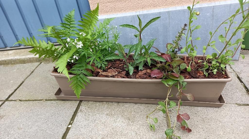 plastieken bloembak met onderschaal opgevuld met planten, Tuin en Terras, Ophalen