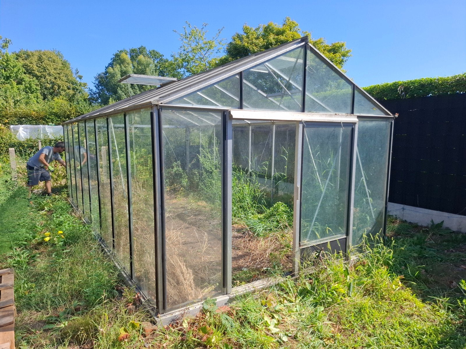 Serre, Tuin en Terras, Verzenden, Kweekkas, Zo goed als nieuw, Glas