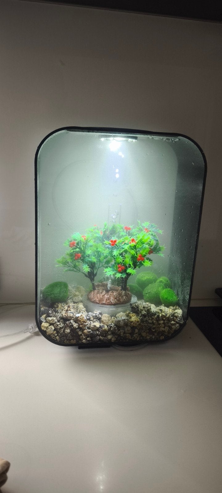 Aquarium, NIEUW, Dieren en Toebehoren, Ophalen, Pomp