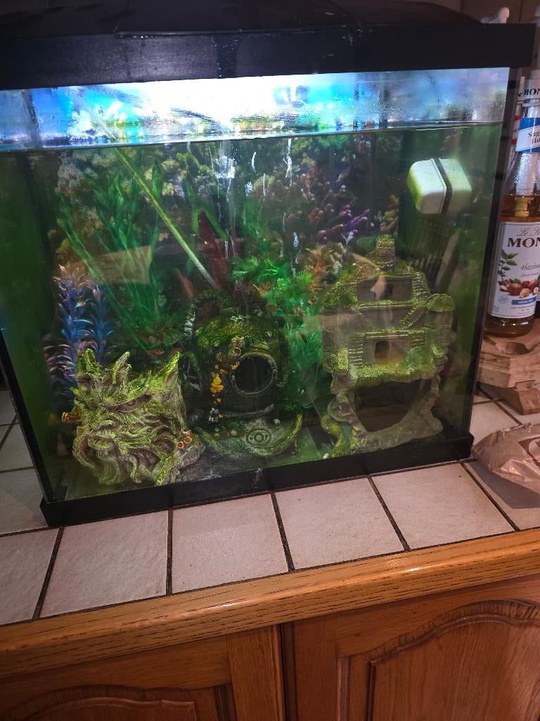 Aquarium, Ophalen, Inclusief deksel, Zo goed als nieuw, Gevuld zoetwateraquarium