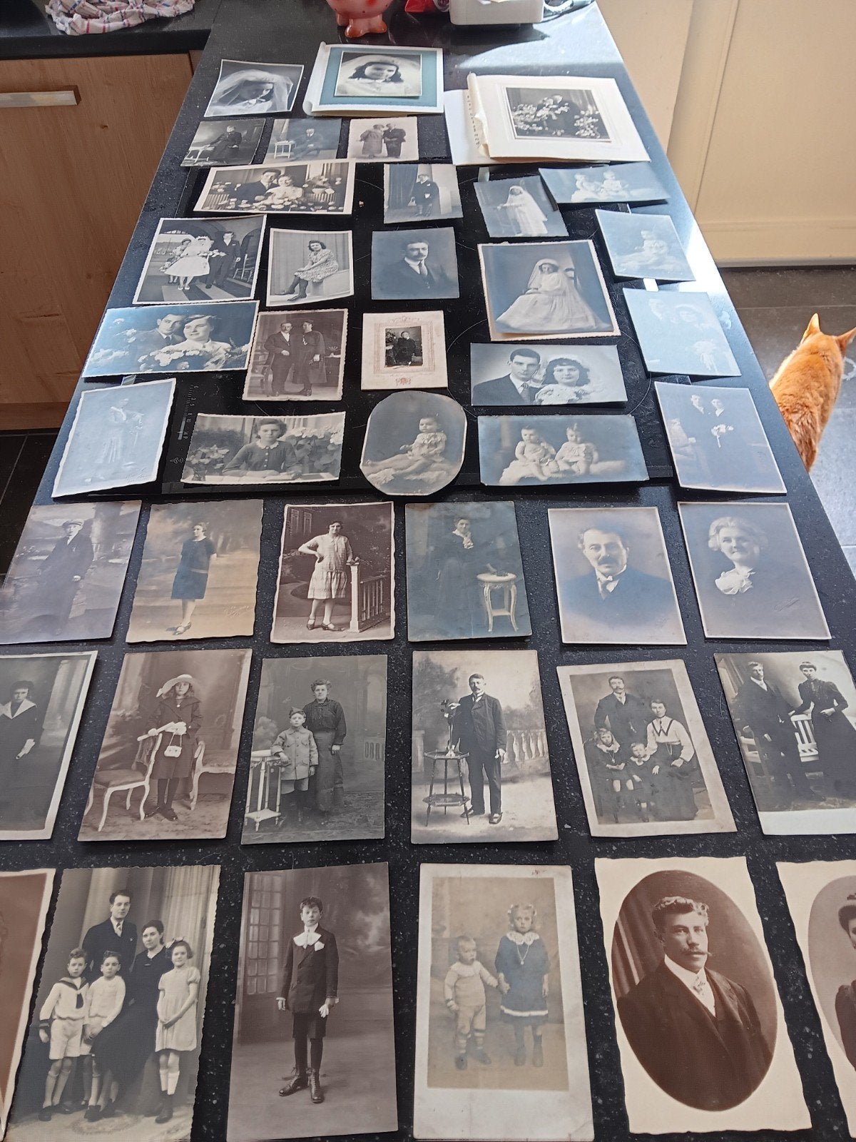 lot oude foto's, Enlèvement ou Envoi
