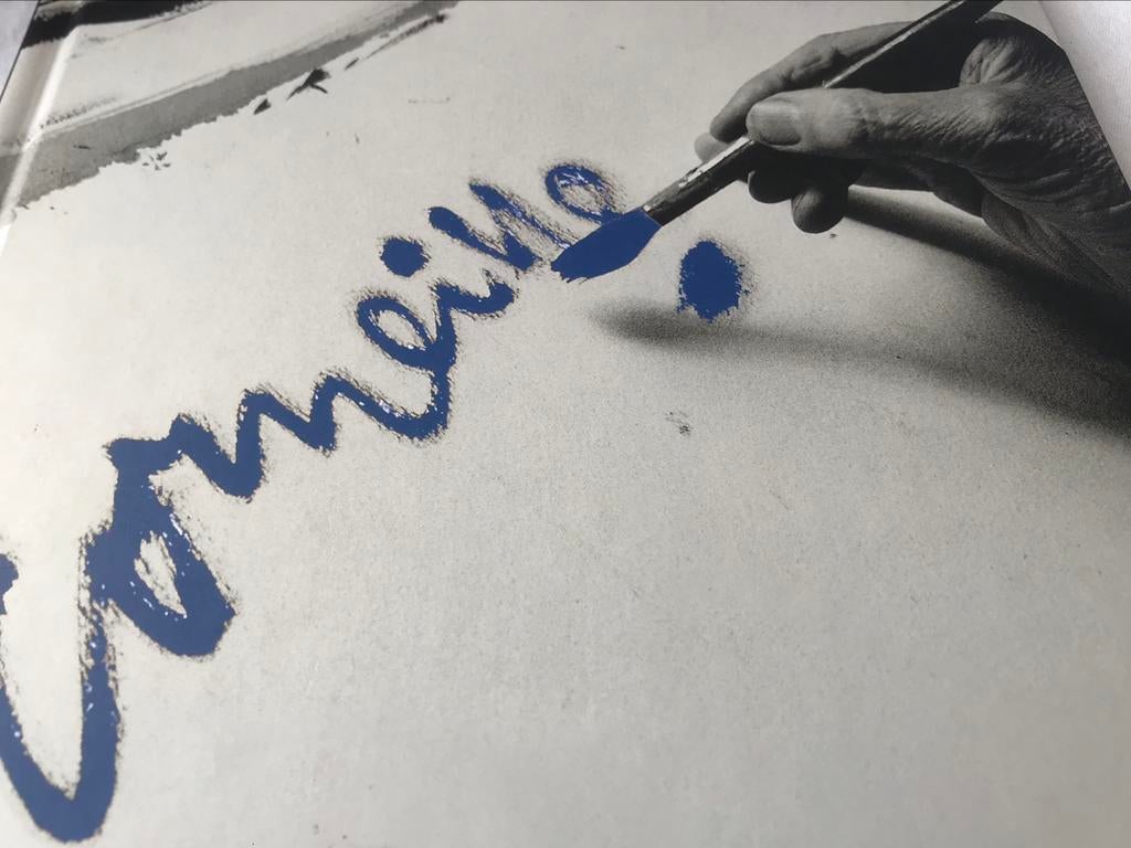 Pierre Corneille Peintures Dessins 100pag Cobra, Boeken, Ophalen of Verzenden, Zo goed als nieuw, Schilder- en Tekenkunst