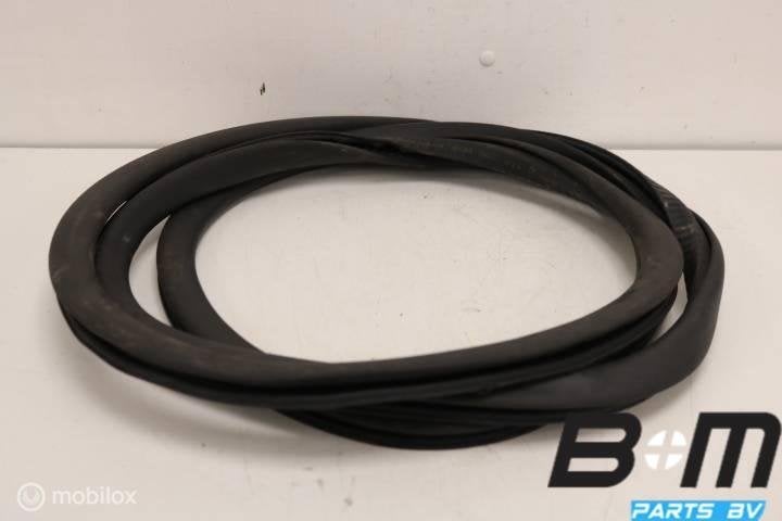 Portierrubber voorzijde VW Polo 9N3 5drs 6Q4867911H, Autos : Pièces & Accessoires, Utilisé