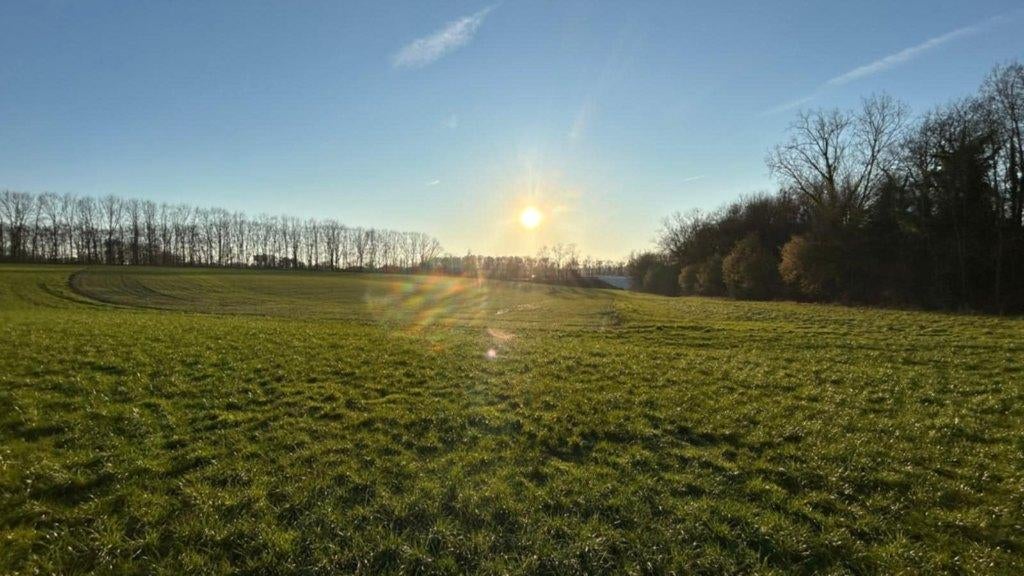 Parcelle de terrain cultivable/prairie, Articles professionnels, Agriculture | Immobilier agricole, 1 à 5 ha, Enlèvement