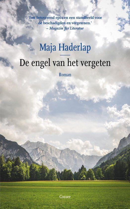 Te Koop Boek DE ENGEL VAN HET VERGETEN Maja Haderlap, Europa overig, Maja Haderlap, Ophalen of Verzenden, Zo goed als nieuw