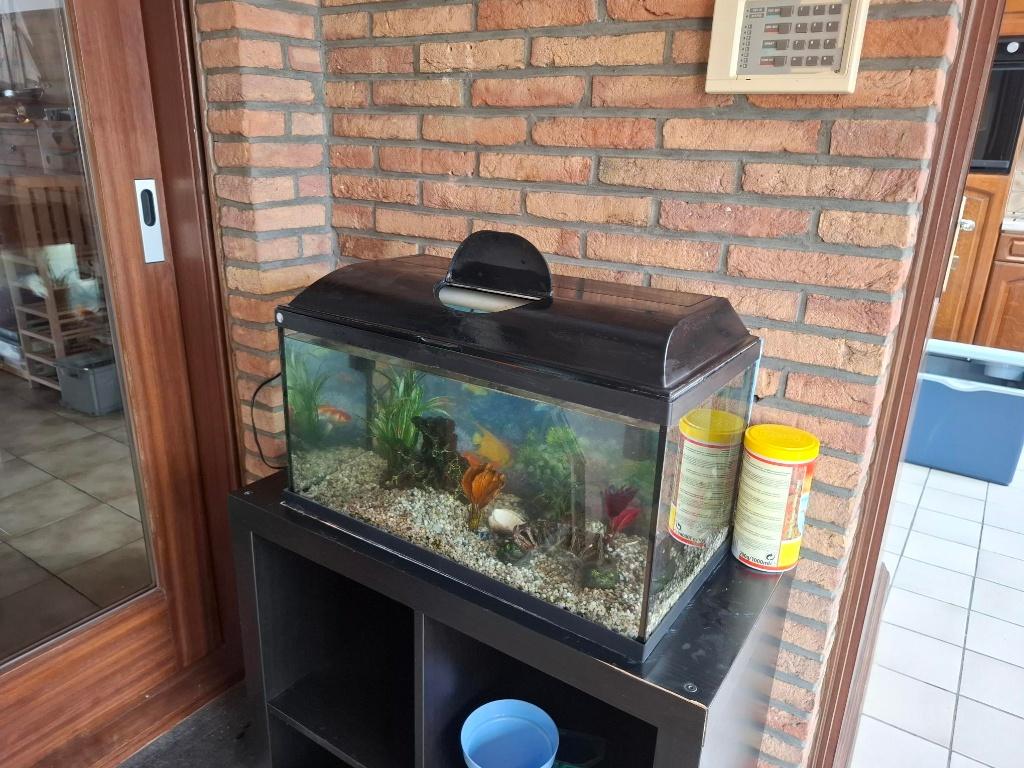 Aquarium, Dieren en Toebehoren, Ophalen, Gebruikt, Overige merken, Leeg aquarium