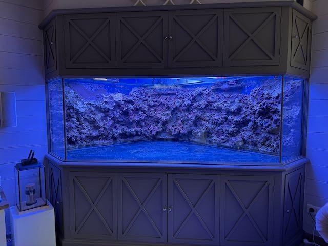Exclusief hoekaquarium, Ophalen