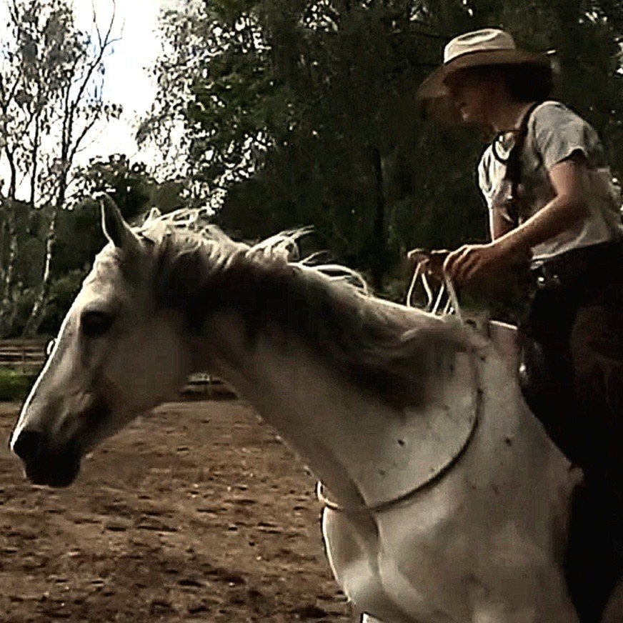 FCR Horse Training, Dieren en Toebehoren, Zadelmak