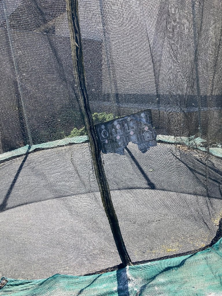 Trampoline à donner, Kinderen en Baby's, Speelgoed | Buiten | Trampolines, Ophalen, Gebruikt
