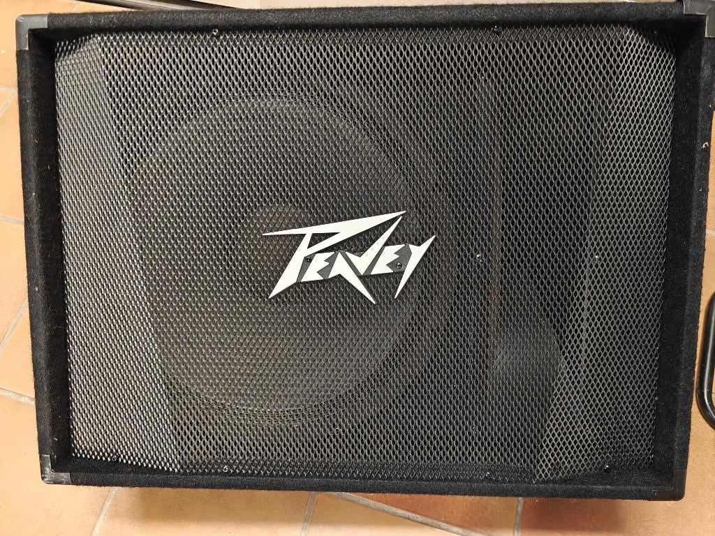 floor monitor Peavey PV 15M 500W, Gebruikt, Overige typen, 120 watt of meer, Ophalen
