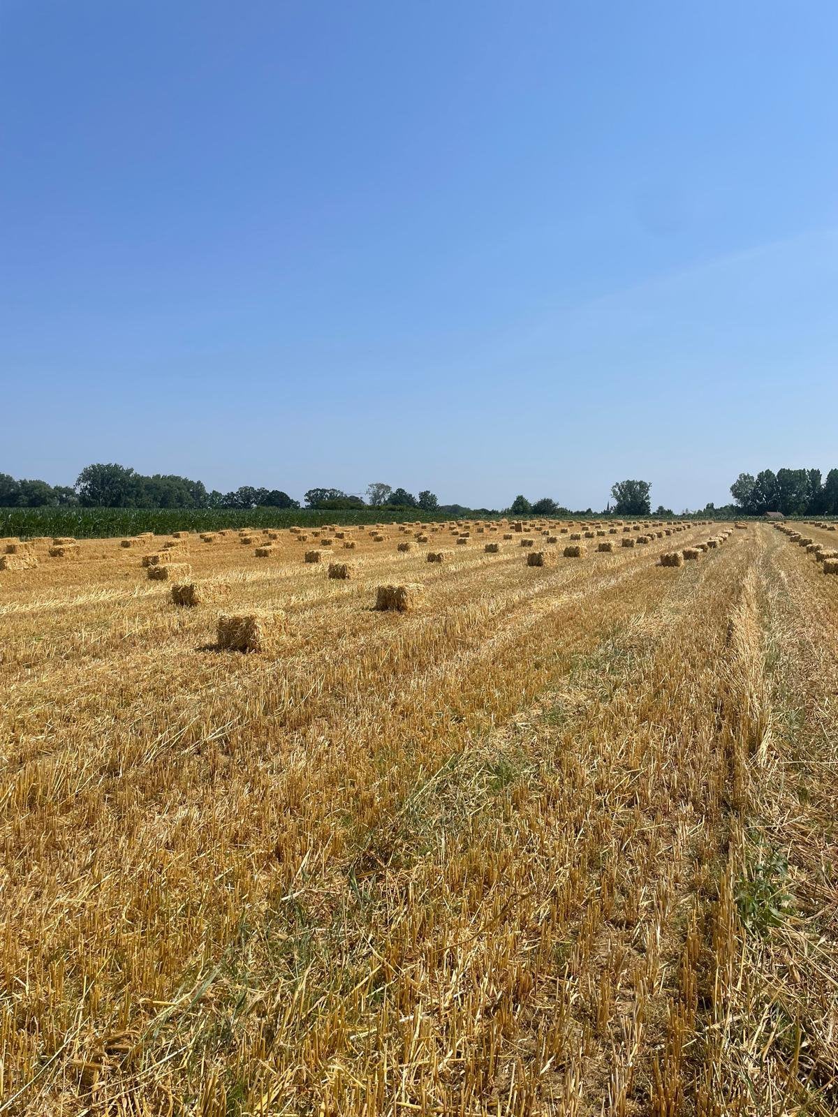 Kleine balen tarwe stro, Enlèvement