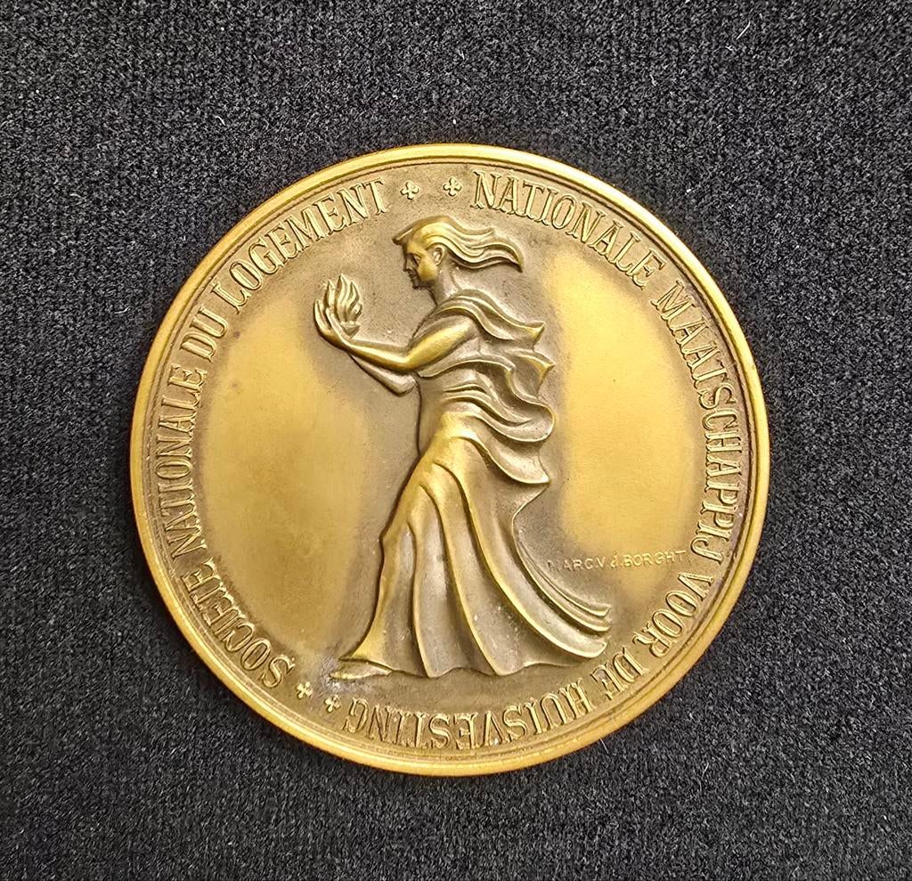 Médaille Borght société logement Fonson Belgique 1969 bronze, Enlèvement ou Envoi