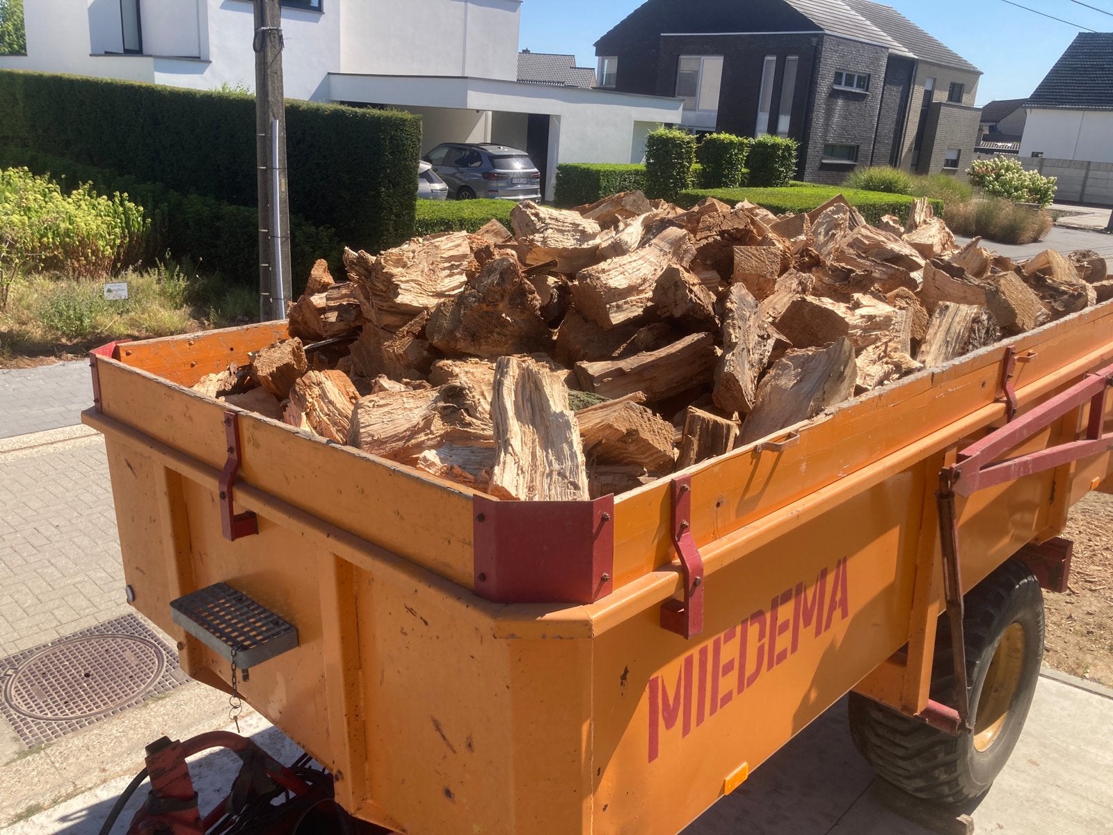Meedere soorten droog brandhout, 6 m³ of meer, Ophalen, Overige houtsoorten, Stammen