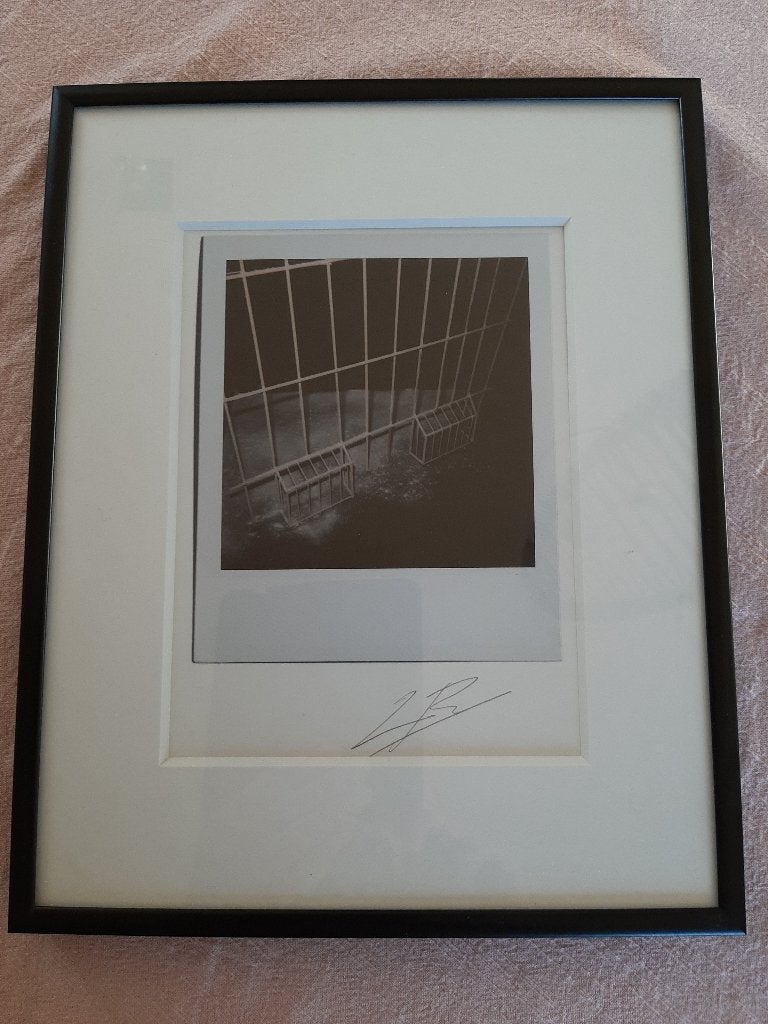 Luc Tuymans ‘Within’ (gesigneerd), Ophalen of Verzenden, Foto, Gesigneerd