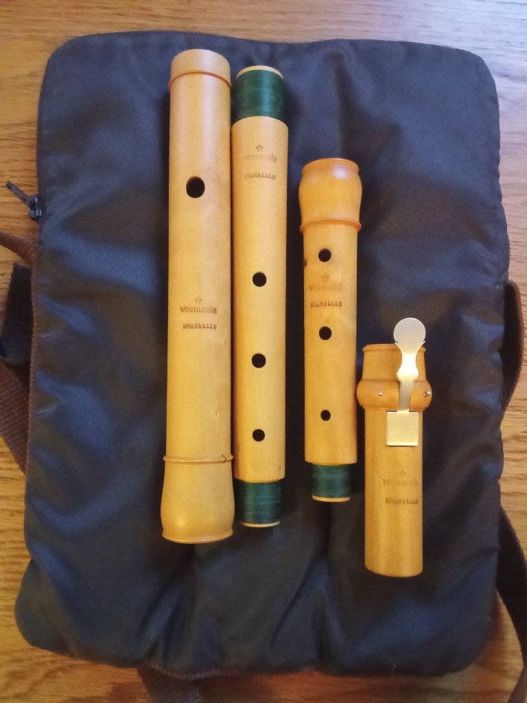 Traverso 415Hz Weemaels, Musique & Instruments, Instruments à vent | Flûtes traversières & Piccolos, Enlèvement ou Envoi, Comme neuf