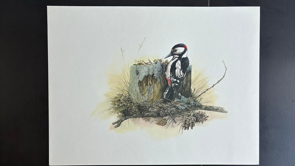 Marjolein Bastin set 4 litho’s proefdrukken Niet gesigneerd, Antiek en Kunst, Ophalen