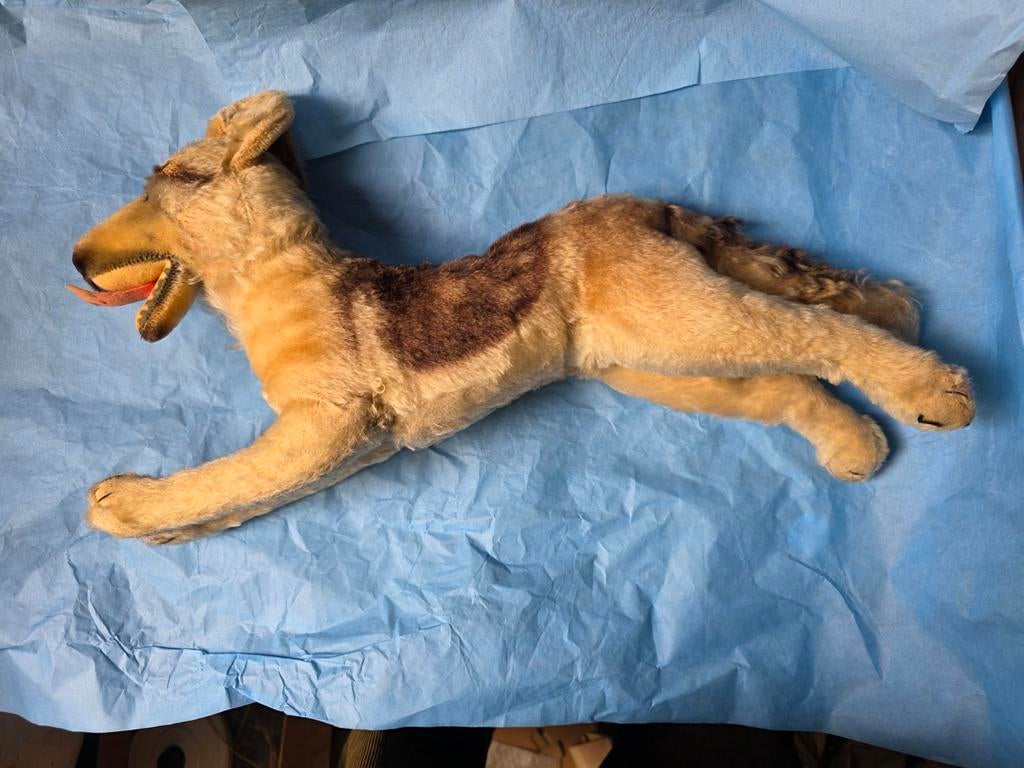 Berger Allemand  50 cm Steiff . Très ancienne peluche. Vendu