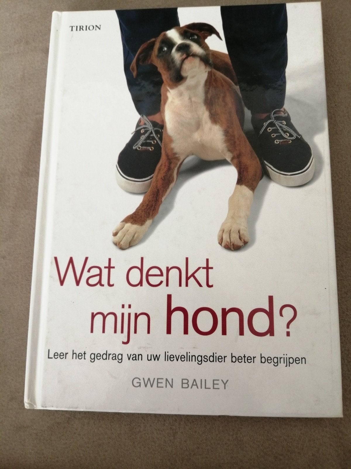Wat denkt mijn hond? - Gwen Bailey, Livres, Animaux & Animaux domestiques, Enlèvement ou Envoi, Utilisé, Gwen Bailey, Chiens