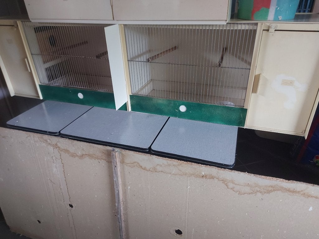 Pvc kooi heesakkers, Dieren en Toebehoren, Ophalen, Gebruikt, Kunststof, Broedkooi of Kweekkooi