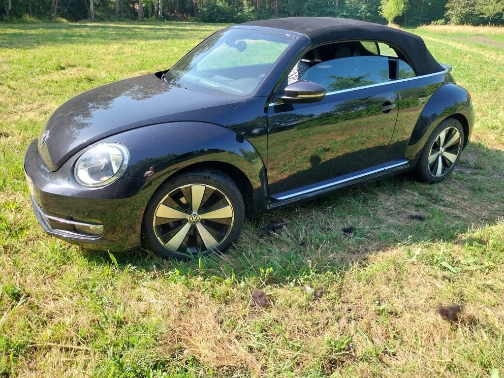 Beetle Cabrio, Auto's, Voorwielaandrijving, 4 cilinders, Cabriolet, Leder