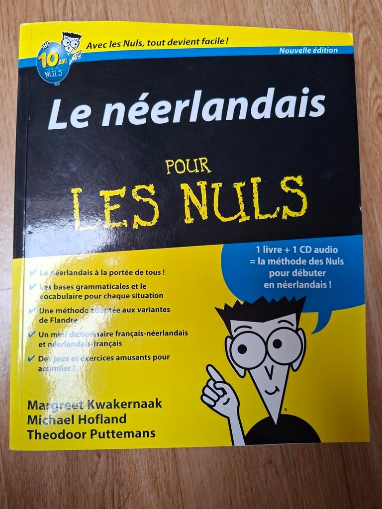 Le néerlandais pour les nuls 338 pages, Livres, Langue | Langues Autre, Enlèvement ou Envoi