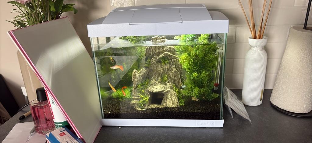 Aquarium, Ophalen, Inclusief vissen, Zo goed als nieuw, Decoratie