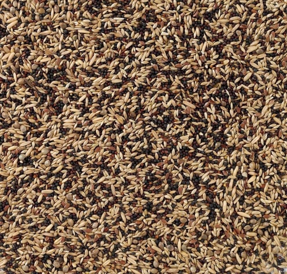 Kanarie Classiek 5kg - Bestel Online, Dieren en Toebehoren, Ophalen