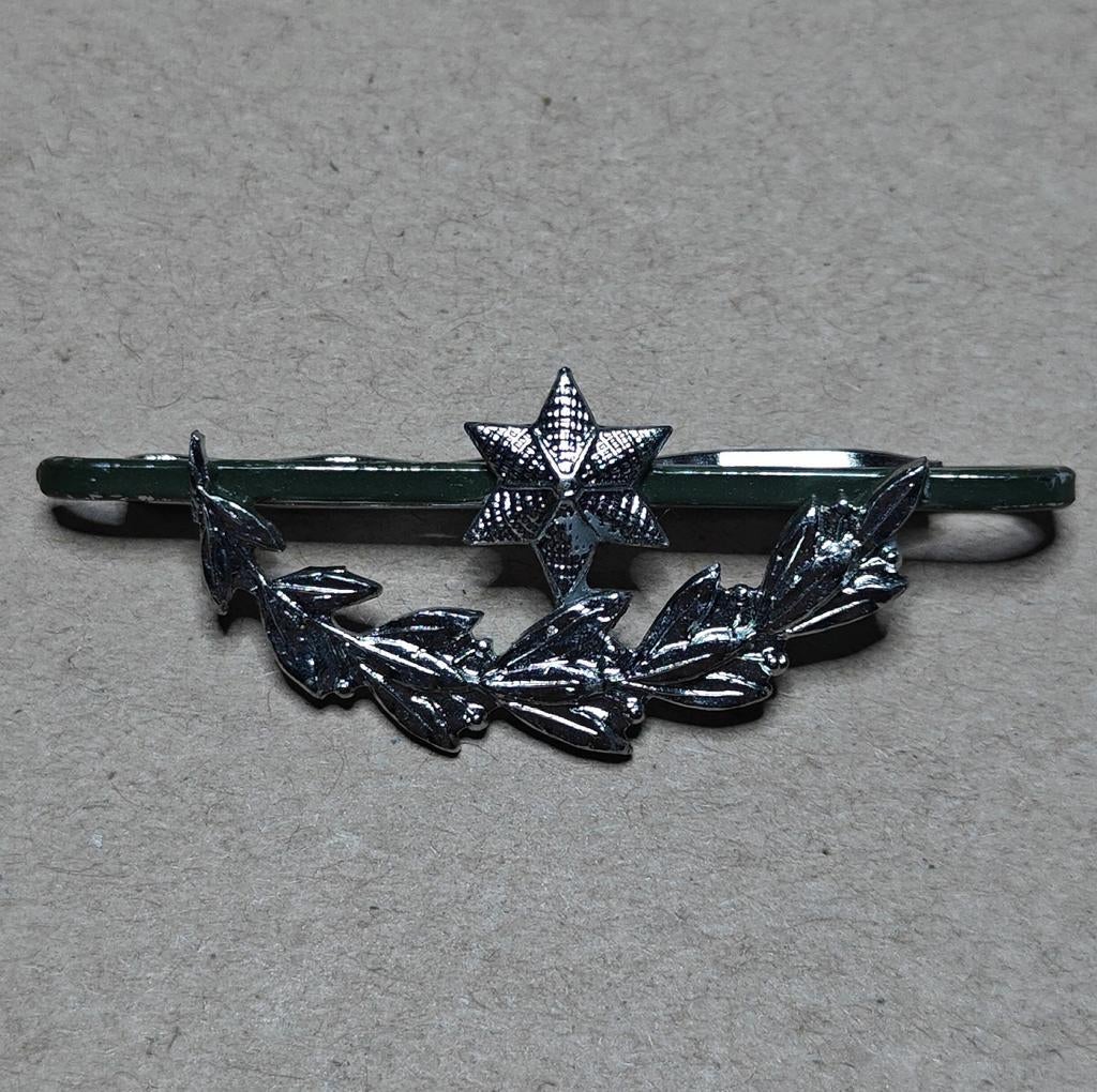 Dasspelt Adjudant chef, Verzamelen, Ophalen of Verzenden, Landmacht
