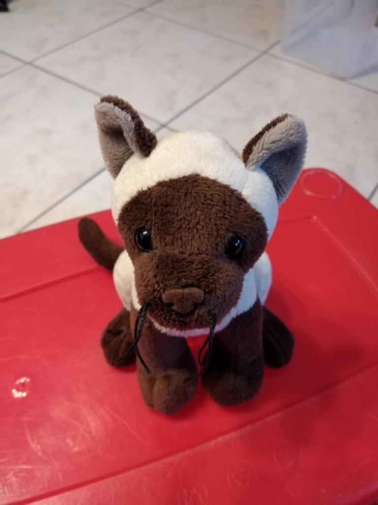 knuffel jemini dier  siamese kat (doos oktober 2025), Ophalen of Verzenden, Nieuw