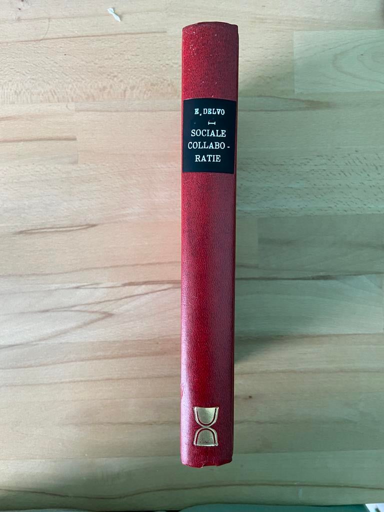 Sociale collaboratie (Edgard Delvo), Boeken, Ophalen of Verzenden, Gelezen