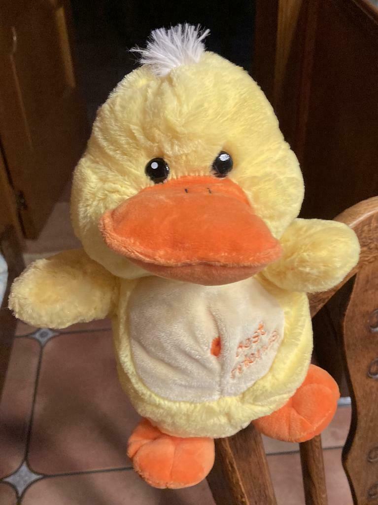 Handpop eend Best Friends, Ophalen of Verzenden, Zo goed als nieuw, Eend
