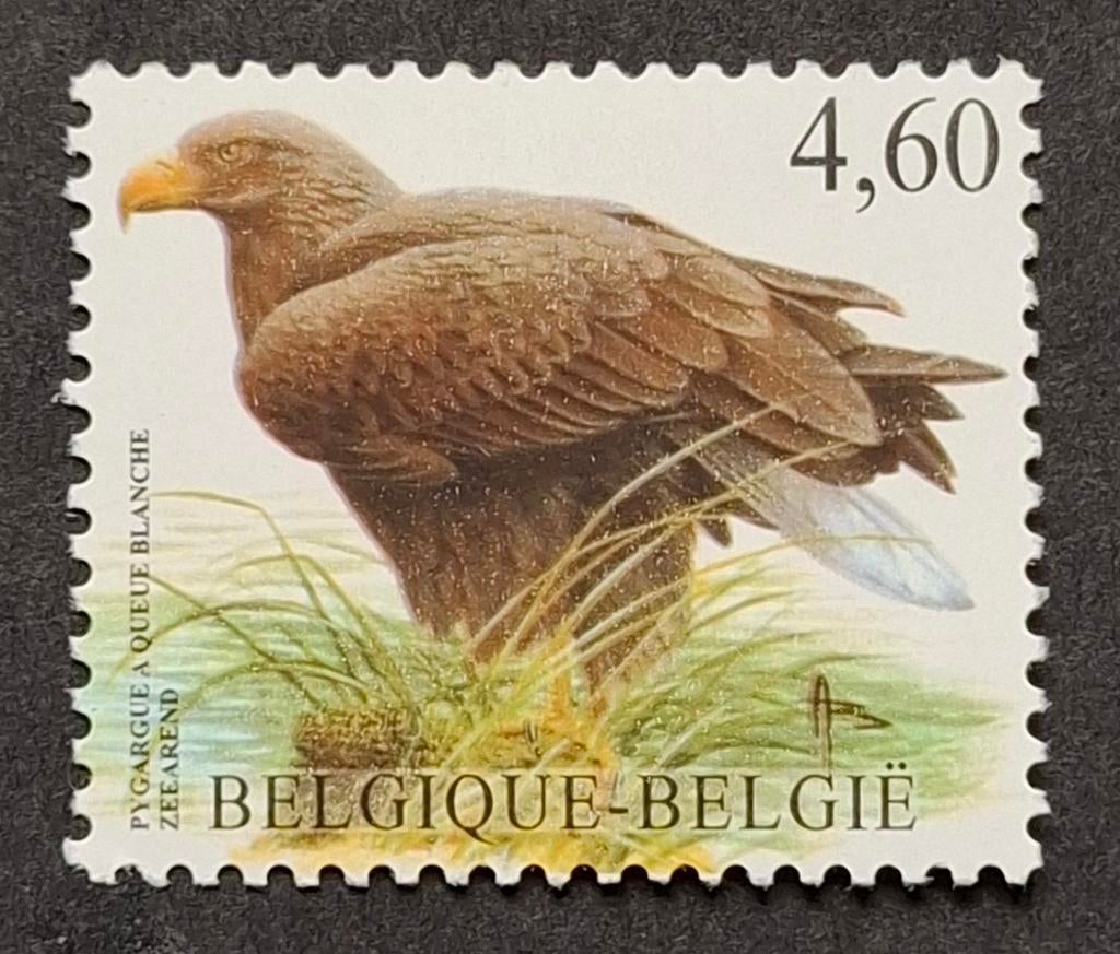 België: OBP 3871 ** Vogels 2009., Frankeerzegel, Ophalen of Verzenden, Zonder stempel, Postfris