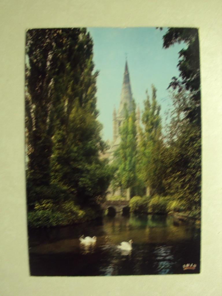 46667 - DADIZELE - PARK, Verzamelen, Verzenden