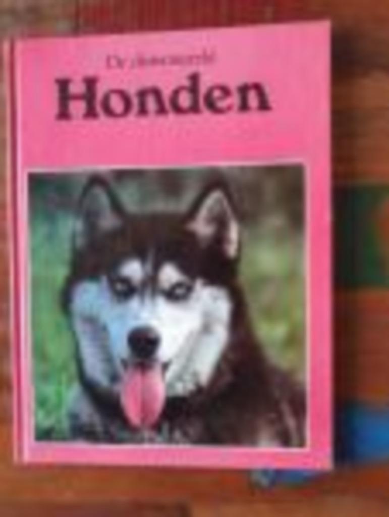De dierenwereld Honden Bert Plank 60 Blz, Ophalen of Verzenden, Zo goed als nieuw, Honden