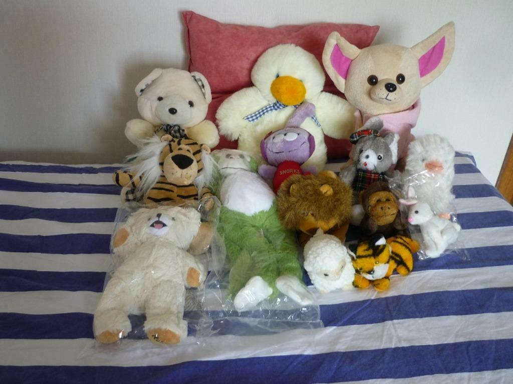Verschillende mooie knuffels, Ophalen of Verzenden, Nieuw, Beer