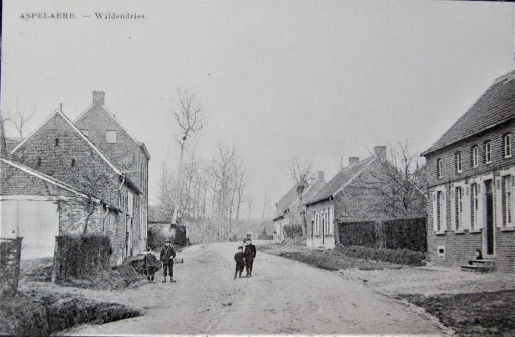 POSTKAART BELGIË- NINOVE (ASPELARE), WILDENDRIES, Verzamelen, Ophalen of Verzenden, Ongelopen, Oost-Vlaanderen