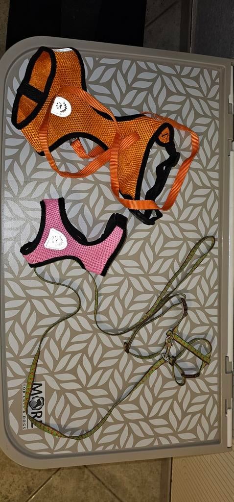 Katten accessoires, Dieren en Toebehoren, Ophalen, Gebruikt