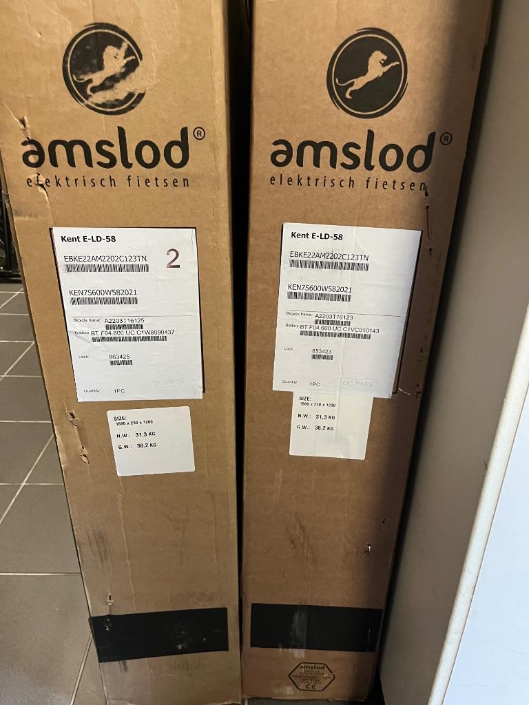 Elektrische fiets, Fietsen en Brommers, Elektrische fietsen, Nieuw, 50 km per accu of meer, 55 tot 59 cm, Ophalen