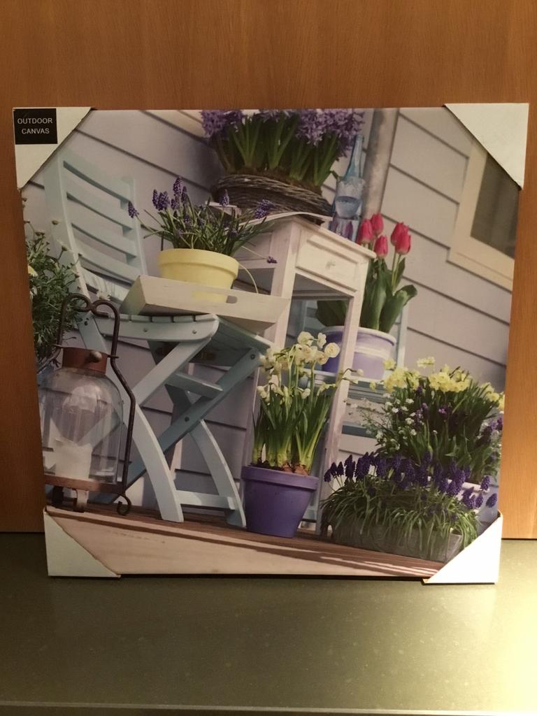 Nieuwe Outdoor Canvas, Ophalen of Verzenden, Nieuw, 50 tot 75 cm, Foto of Poster