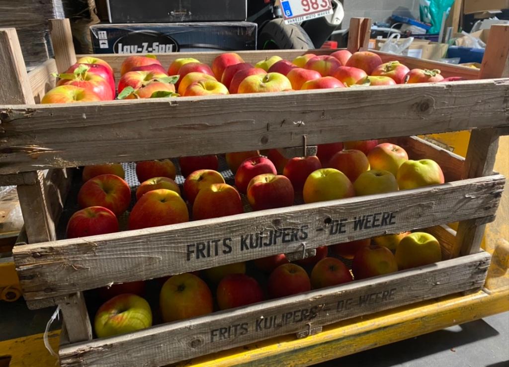 CAISSES A FRUIT DE CONSERVATION, Enlèvement ou Envoi, Utilisé