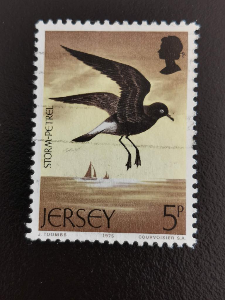 Jersey 1975 - vogels - zeevogels - stormvogel, Ophalen of Verzenden, Gestempeld