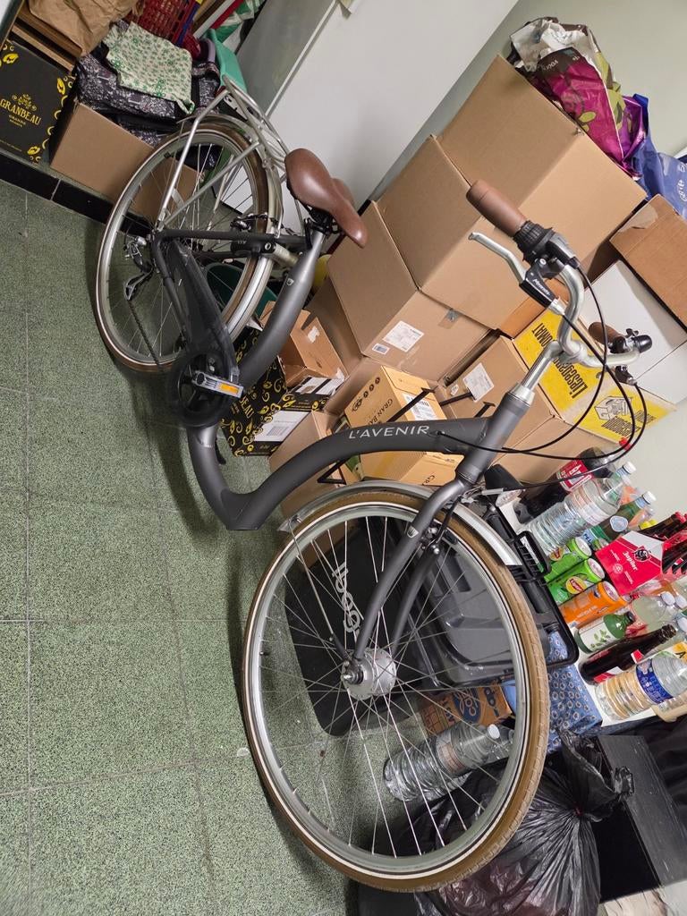 Lavenir stadsfiets-laag model, Enlèvement